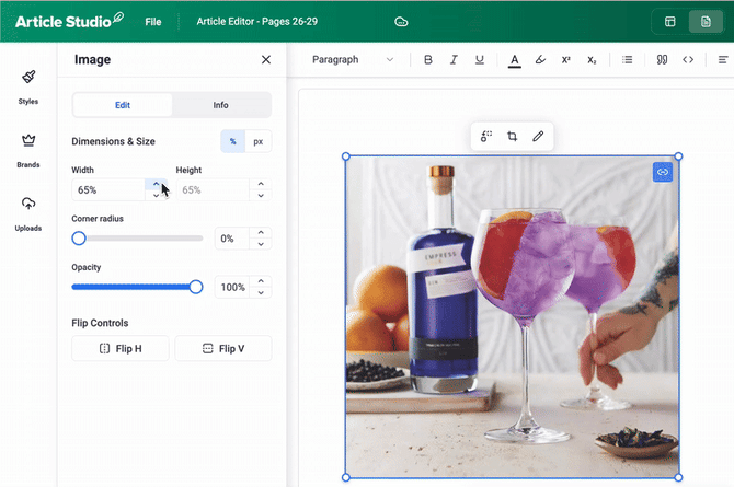 size-ing-ezgif.com-video-to-gif-converter